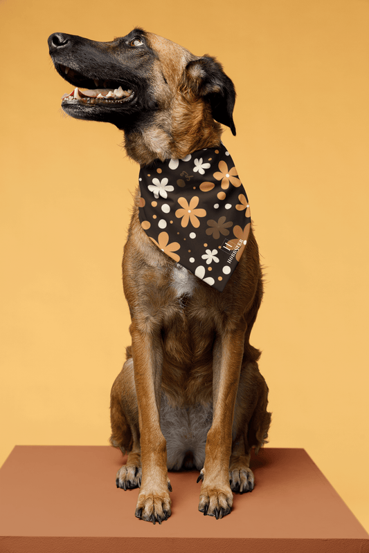 Dog Bandana featuring unique brown boho flowers - Hobbster