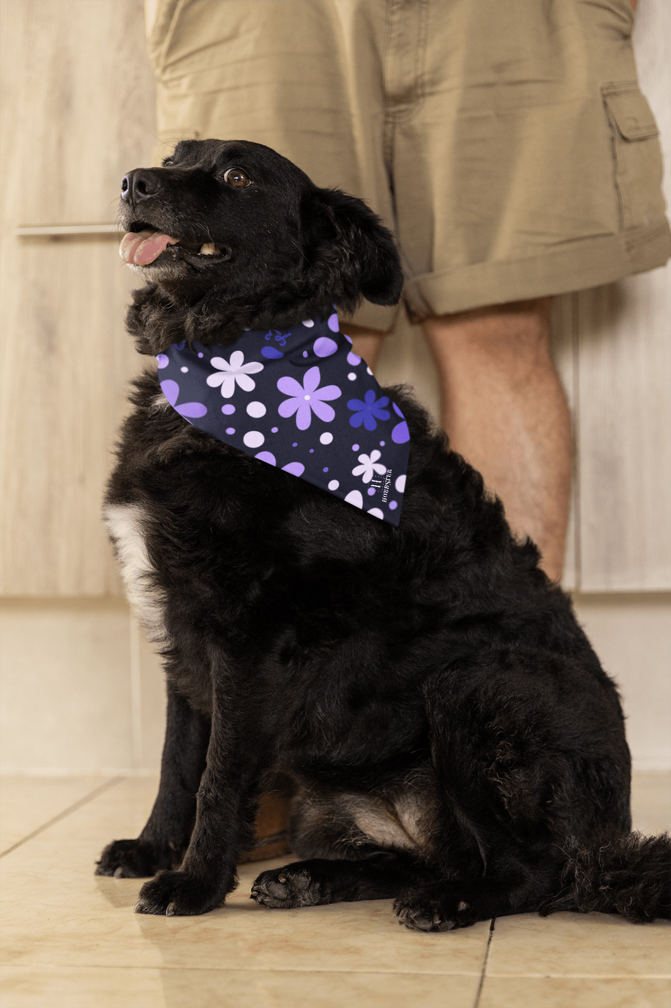 Dog Bandana featuring unique purple boho flowers - Hobbster