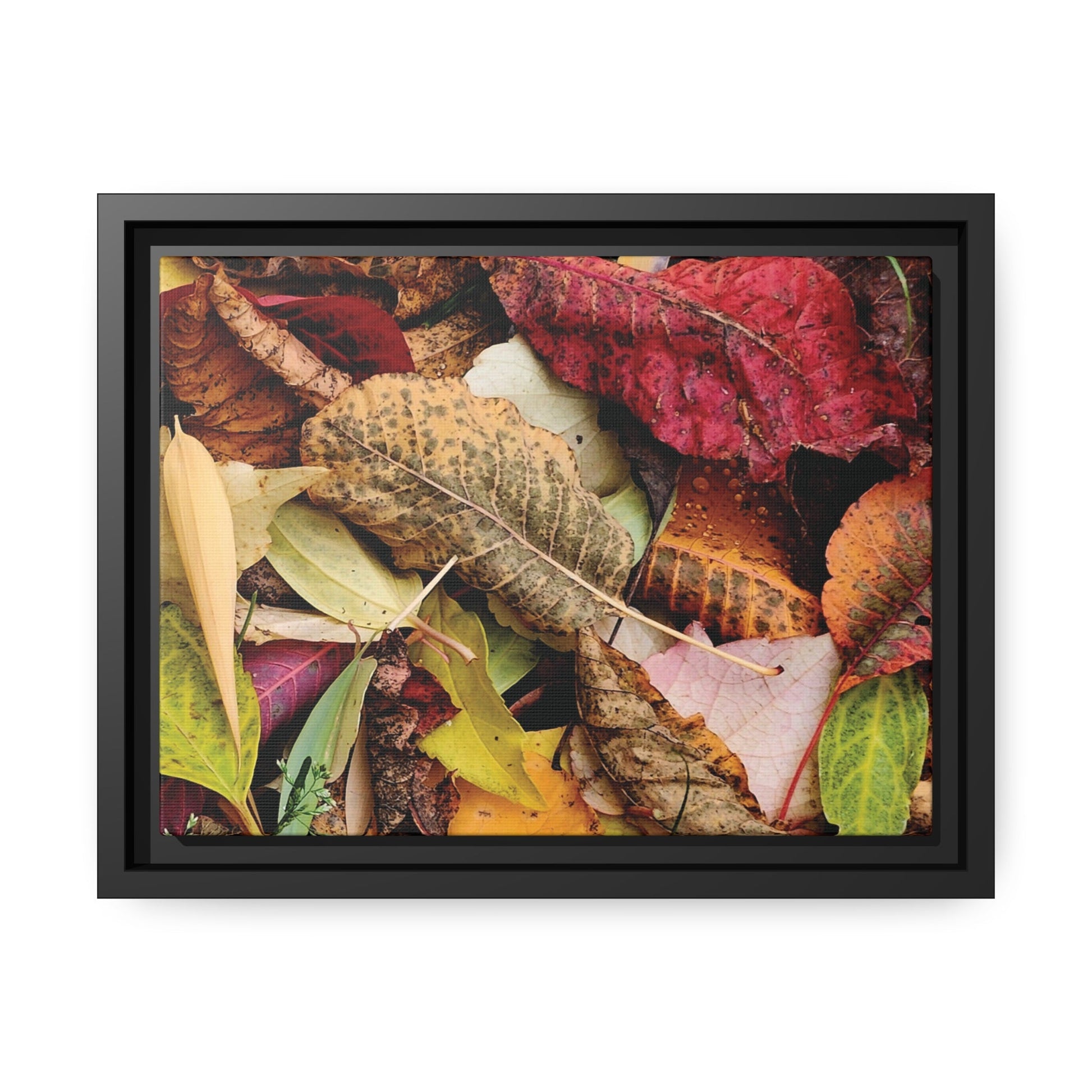 Inspired by Nature Matte Black Canvas Picture Frame of Autumn Leaves - Hobbster