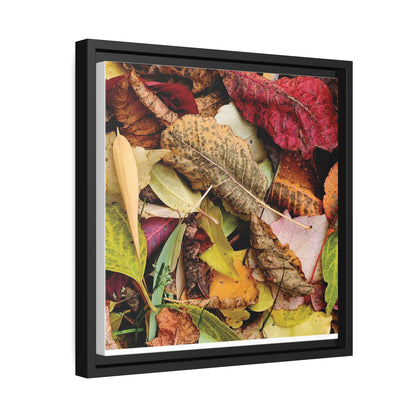 Inspired by Nature Matte Black Canvas Picture Frame of Autumn Leaves - Hobbster