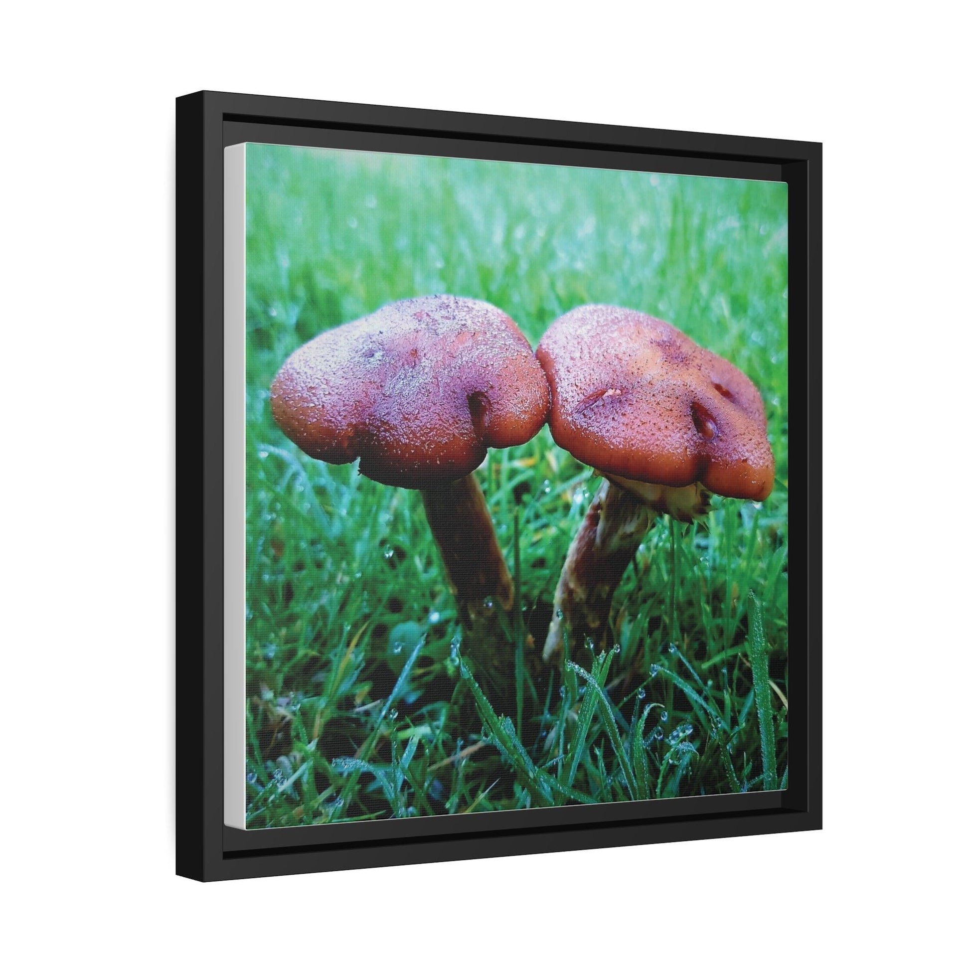 Inspired by Nature Matte Black Canvas Picture Frame of Wild Mushrooms - Hobbster