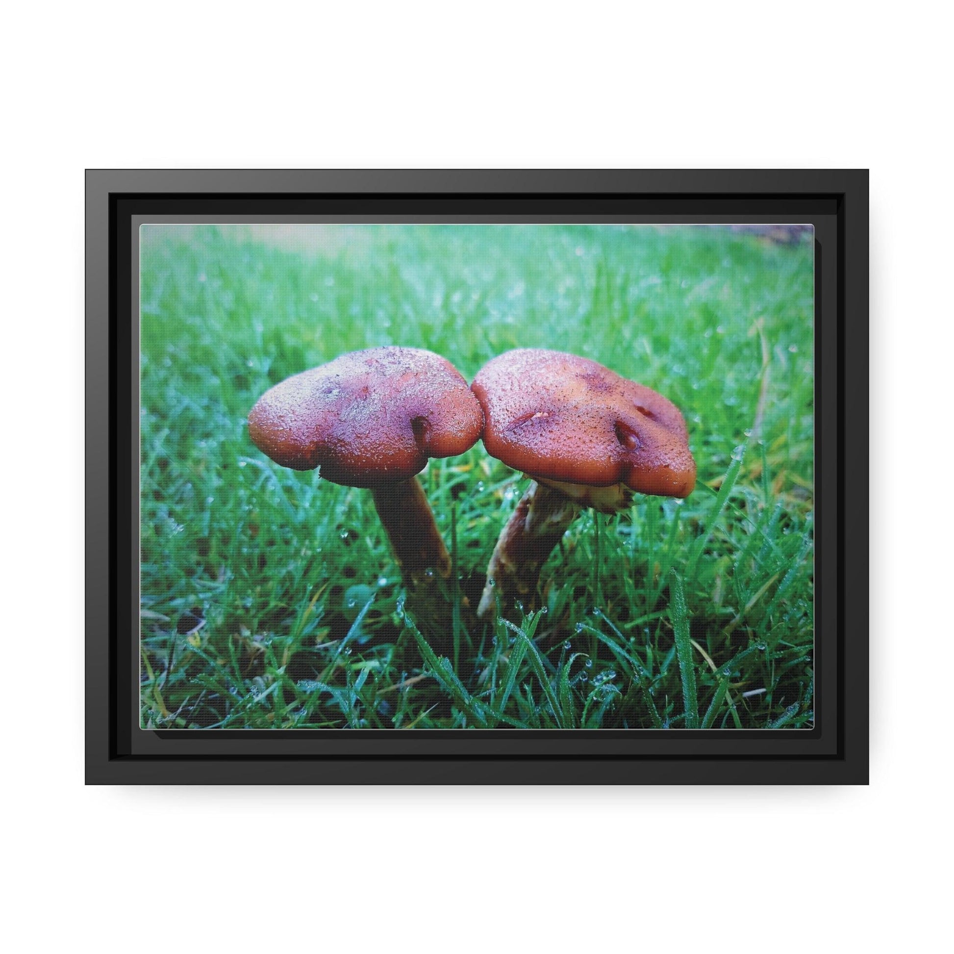 Inspired by Nature Matte Black Canvas Picture Frame of Wild Mushrooms - Hobbster