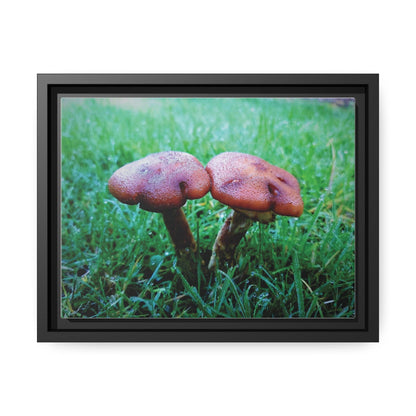 Inspired by Nature Matte Black Canvas Picture Frame of Wild Mushrooms - Hobbster