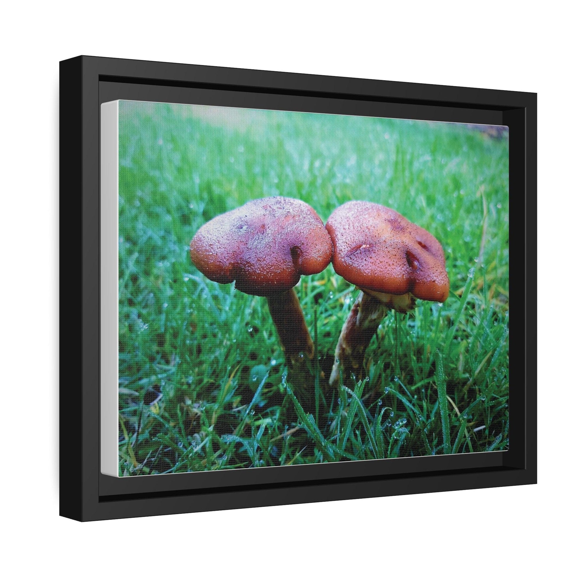 Inspired by Nature Matte Black Canvas Picture Frame of Wild Mushrooms - Hobbster