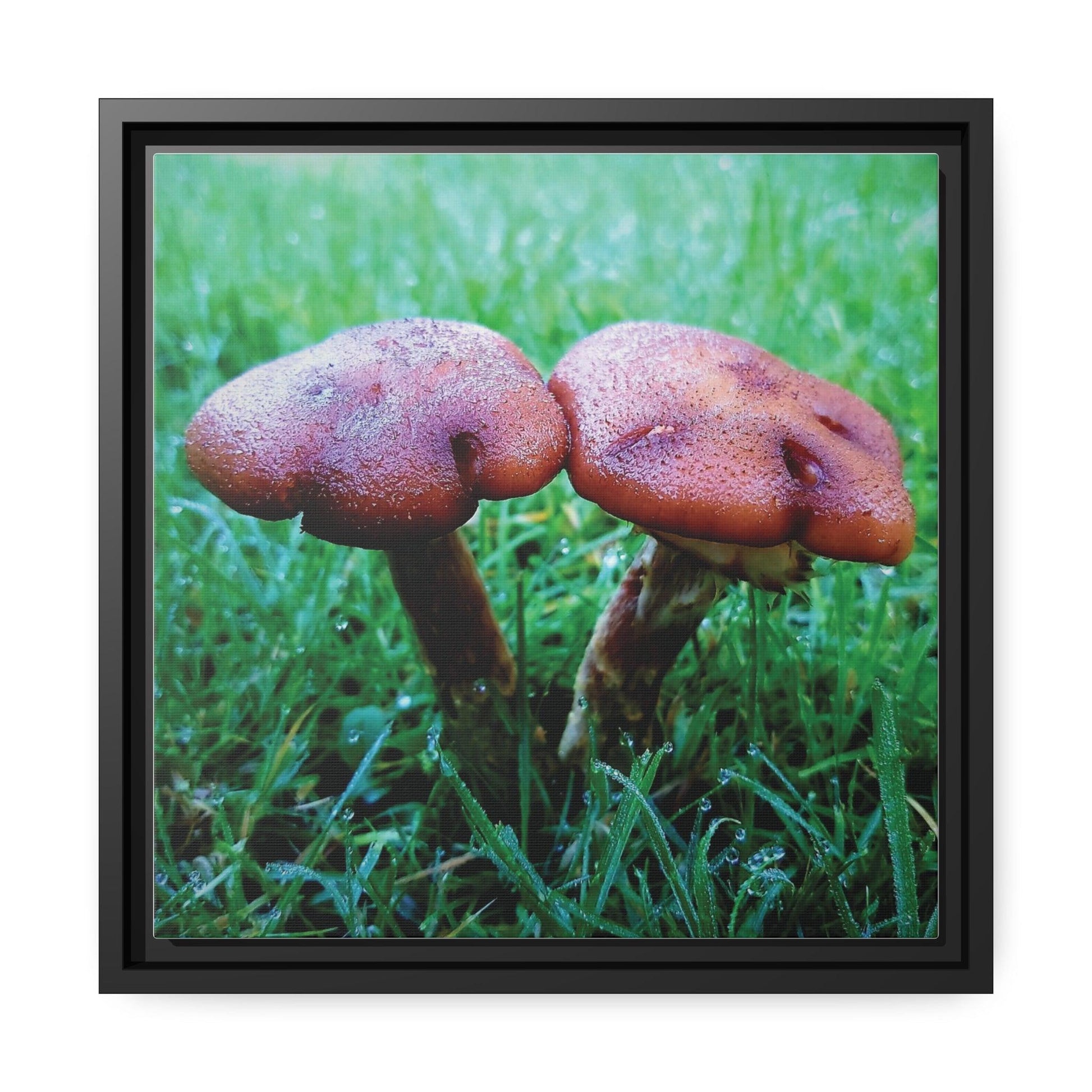 Inspired by Nature Matte Black Canvas Picture Frame of Wild Mushrooms - Hobbster