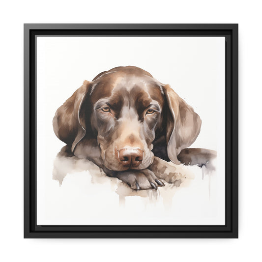 Matte Black Canvas Picture Frame of a Resting Vizsla Puppy - Hobbster