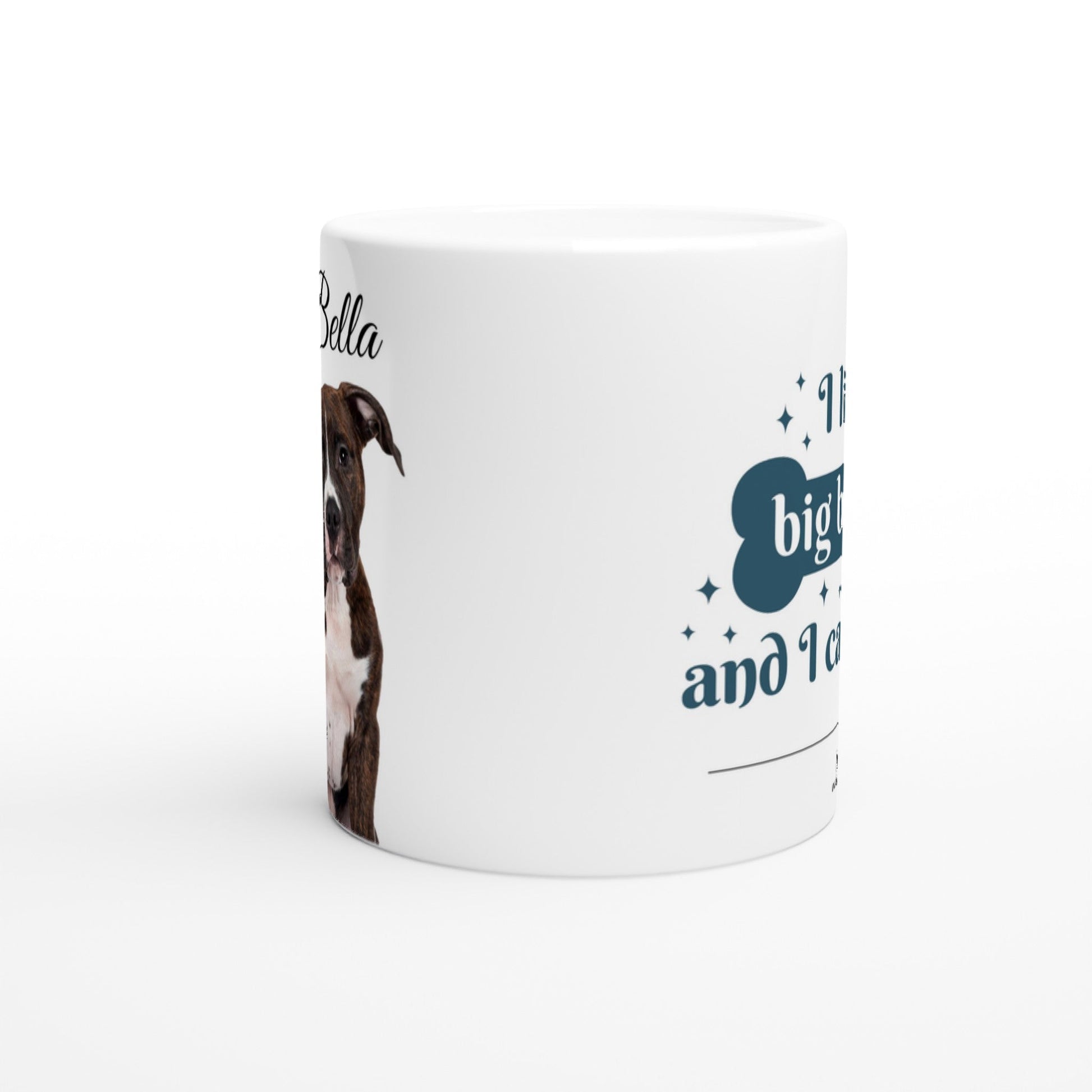 Personalised 11 0z Ceramic Mug with Your Dog Picture and Big Bones Quote - Hobbster