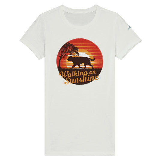 Walking On Sunshine Premium Women's Crewneck T-shirt - Hobbster